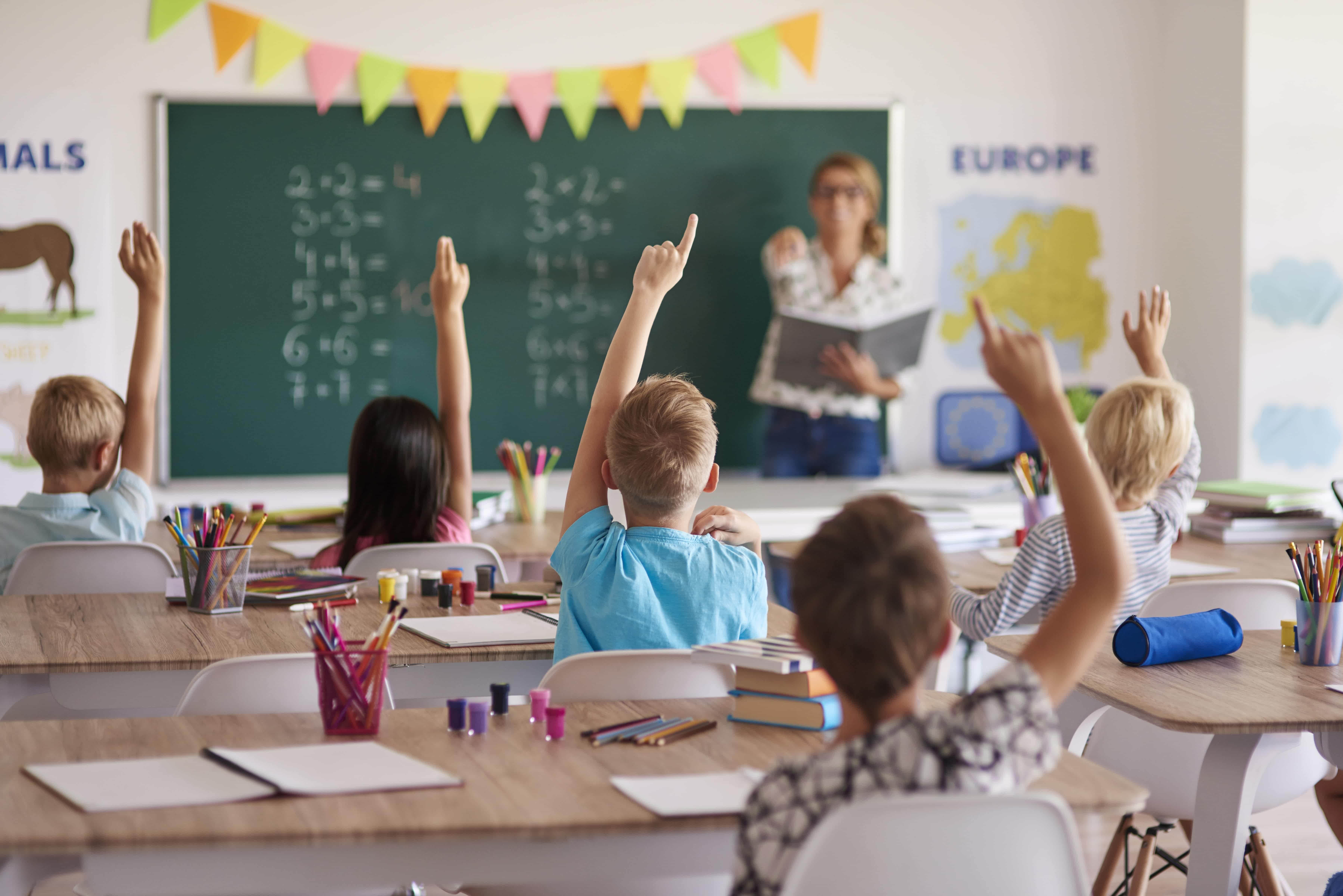 teacher mentorship